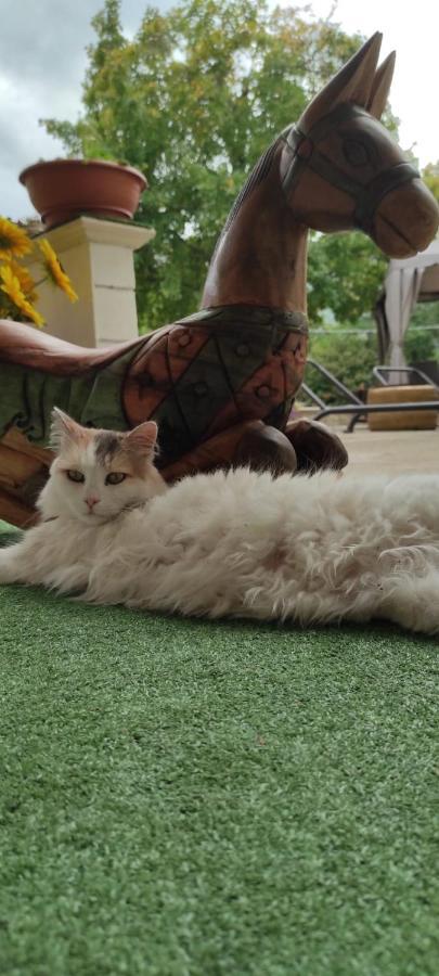 Pettorano sul Gizio "Il Miglio" Country House المظهر الخارجي الصورة