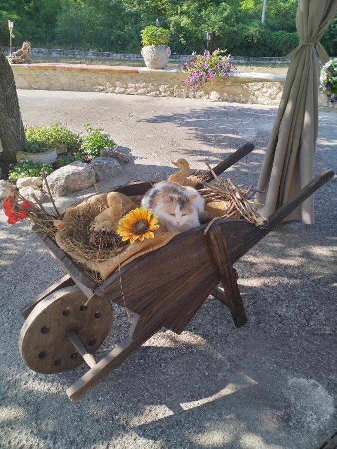 Pettorano sul Gizio "Il Miglio" Country House المظهر الخارجي الصورة