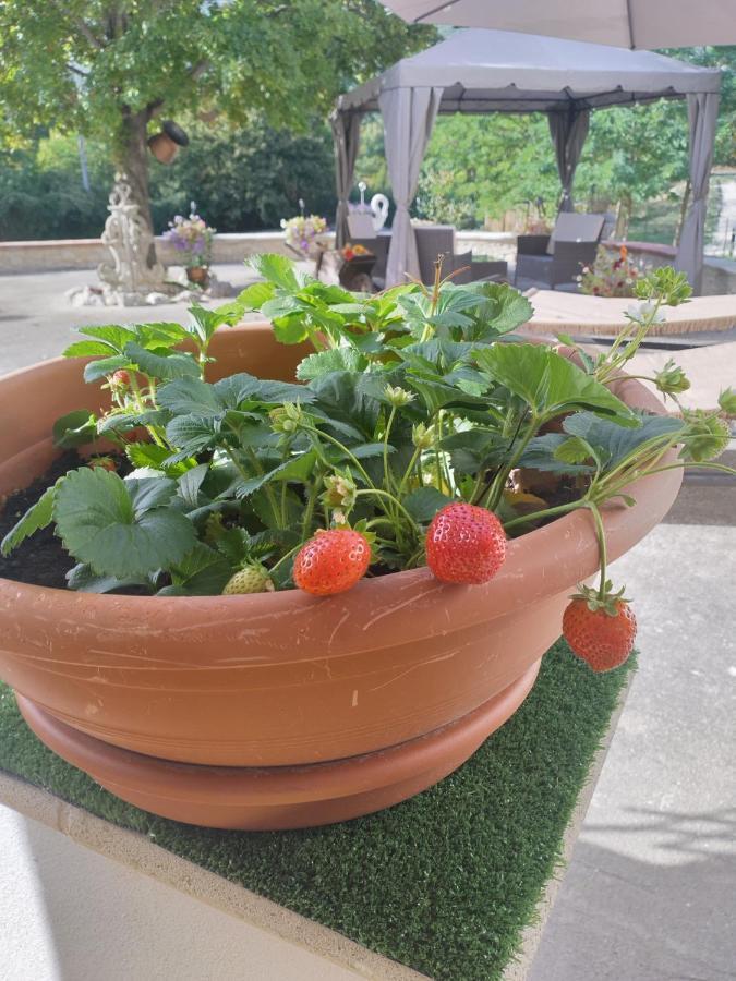 Pettorano sul Gizio "Il Miglio" Country House المظهر الخارجي الصورة